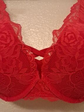 Torrid Curve Bra